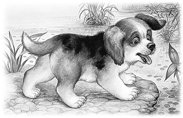 Первая охота ящерица