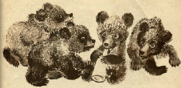 Чарушин медведь рассказ