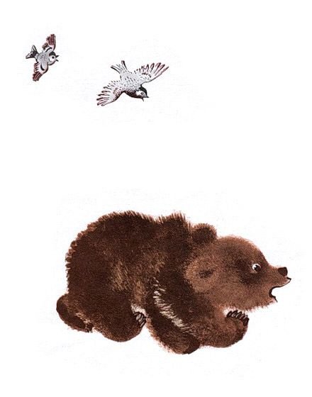 Чарушин медвежата