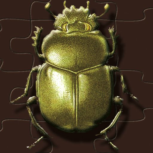 Золотой Жук