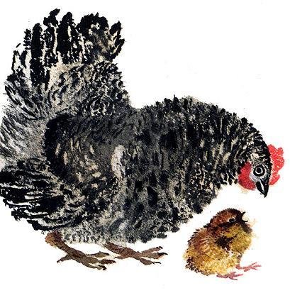 Иллюстрации к рассказу чарушина курочка (48 фото)