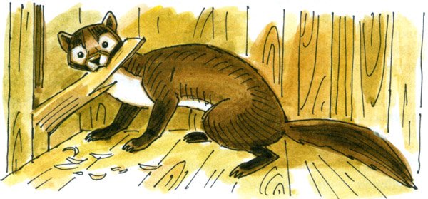 Астафьев Виктор "Белогрудка"