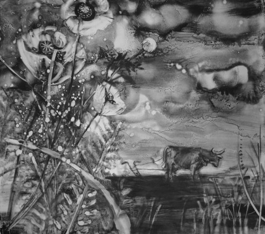 Платонов корова иллюстрации