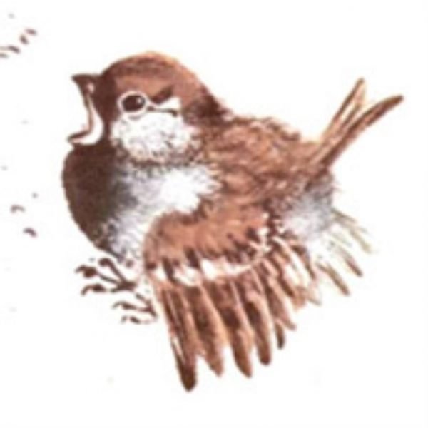 Евгений Чарушин Воробей