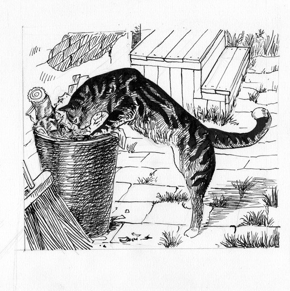 Житков Беспризорная кошка