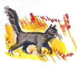 Иллюстрации к рассказу беспризорная кошка (49 фото)