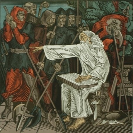 Павлинка книга