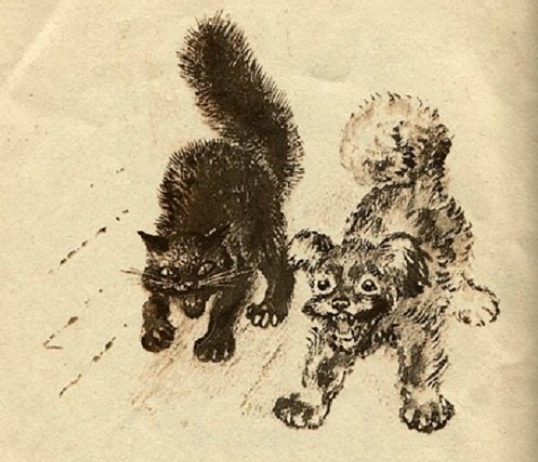 Чарушин Волчишко книга