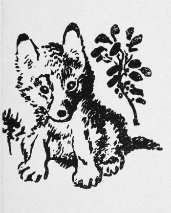 Евгений Чарушин « Волчишко и другие»