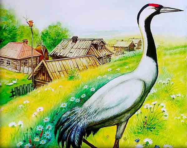 Рассказ Пришвина журка