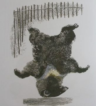 Евгений Чарушин кабан