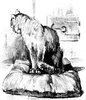 Кот Чехов иллюстрации