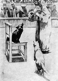 А П Чехов каштанка рисунок