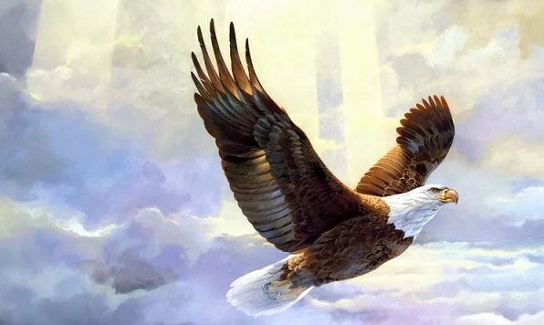 Коршун Тютчев