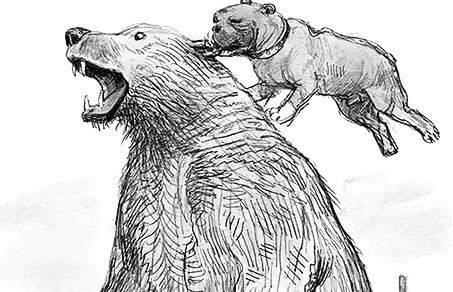 Булька рисунок для читательского дневника