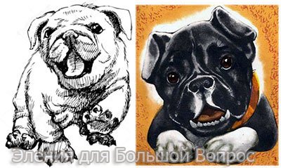 Рассказ л.н.Толстого Булька