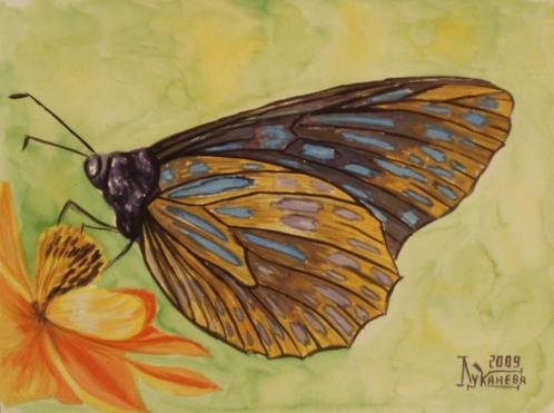 Афанасий Афанасьевич Фет бабочка иллюстрация