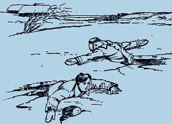 Полынья рисунок карандашом