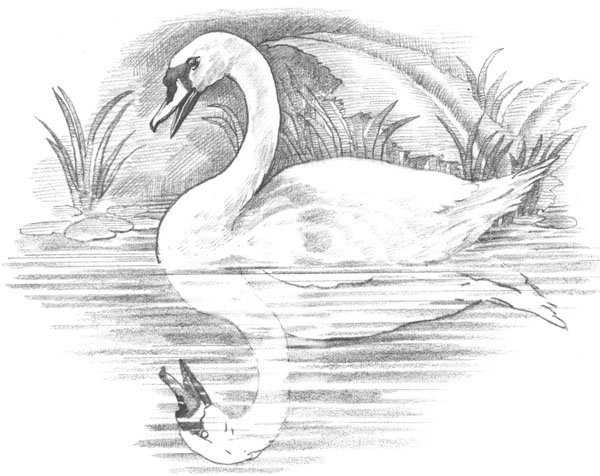 Д мамин-Сибиряк приёмыш