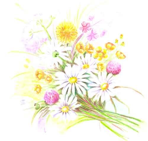 Художник Diane Demirci