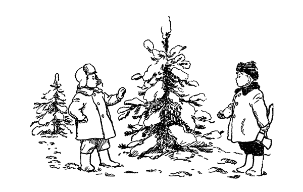 Рассказ Николая Носова бенгальские огни