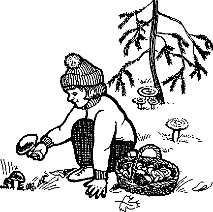 Сказка дудочка и кувшинчик