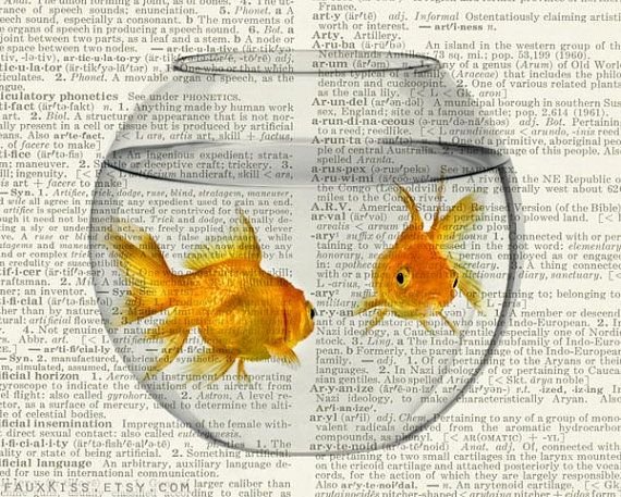 Анатолий Приставкин Золотая рыбка иллюстрации