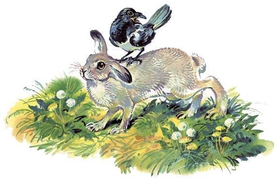 Николай Сладков топик и Катя