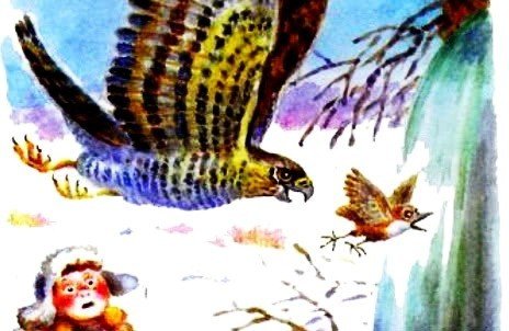 Виталий Бианки сумасшедшая птица