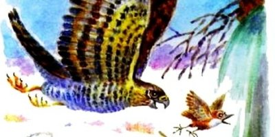 Виталий Бианки Анюткина утка