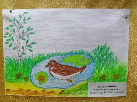 Иллюстрация к произведению бианки сумасшедшая птица (50 фото)