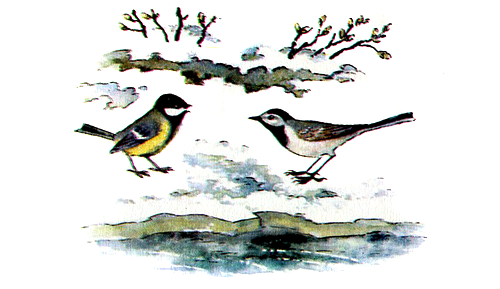 Пришвин птицы под снегом