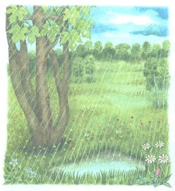 Картина весенний дождь Афанасий Фет