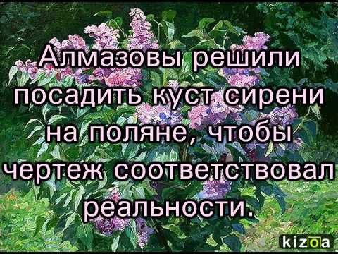 Куст сирени поговорка