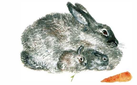 Евгений Чарушин про зайчат