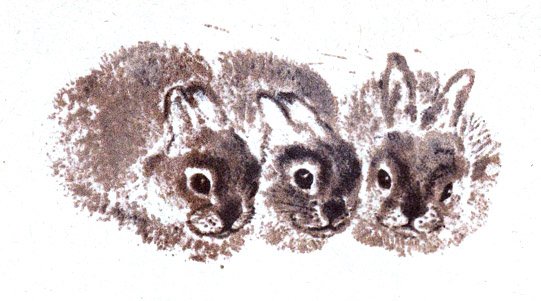 Ребятам о зверятах Чарушин