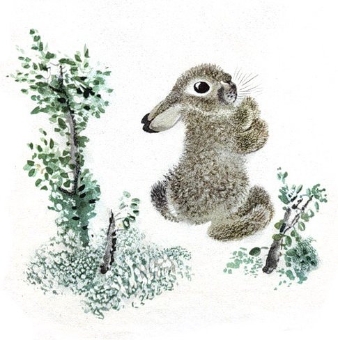 Рассказ Чарушина Зайчата текст