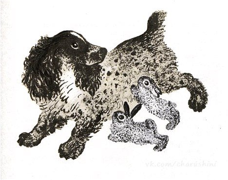 Чарушин Евгений моя первая Зоология