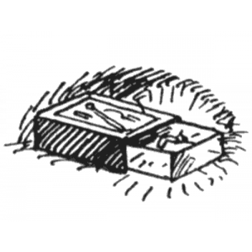 В Ю Драгунский он живой и светится