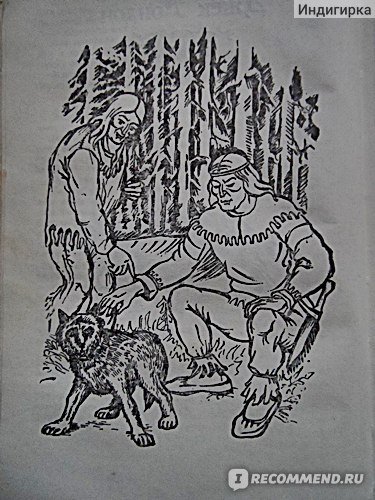 Джек Лондон белый клык рисунки