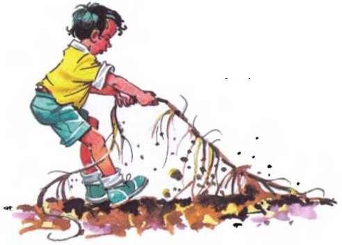 Огородники Носова