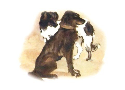 Рассказы о животных Пришвина и Сладкова