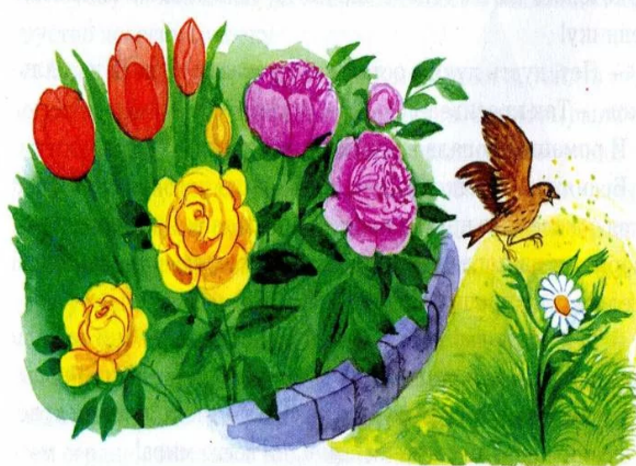 Ханс христиан Андерсен Ромашка