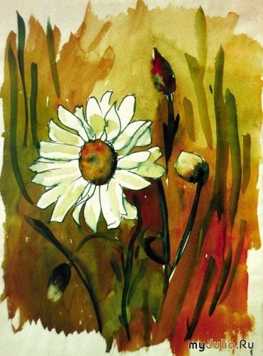 Ромашка Ганс христиан Андерсен