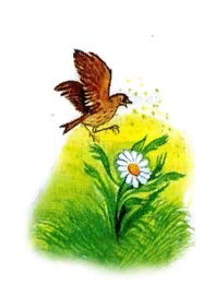 Ромашка 1 класс