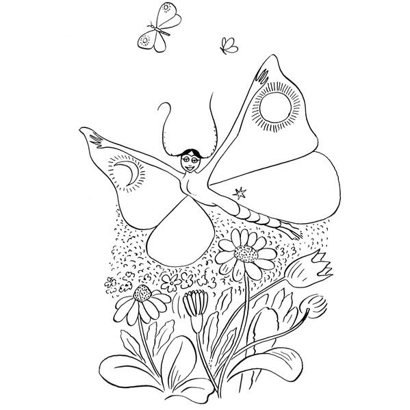 Афанасий Фет бабочка