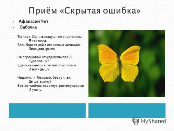 Афанасий Фет бабочка стихотворение
