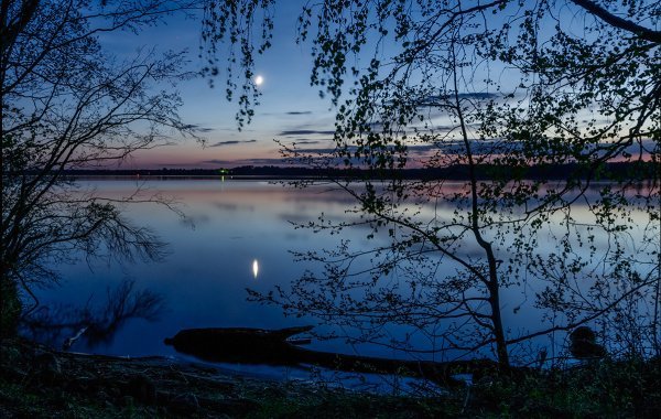 Иллюстрации к книге Есенина черемуха