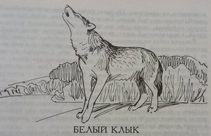 Книга белый клык Нигма