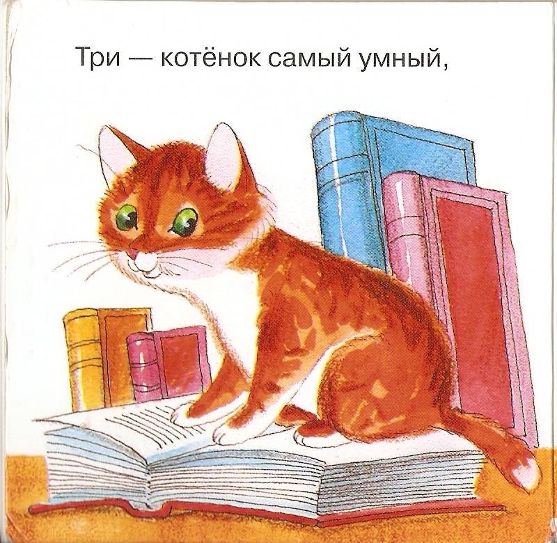 Главная мысль стихотворения котенок благинина. Рисунок к стихотворению котенок. Михалков котята иллюстрации. Благинина котенок рисунок. Котята Михалков рисунок.